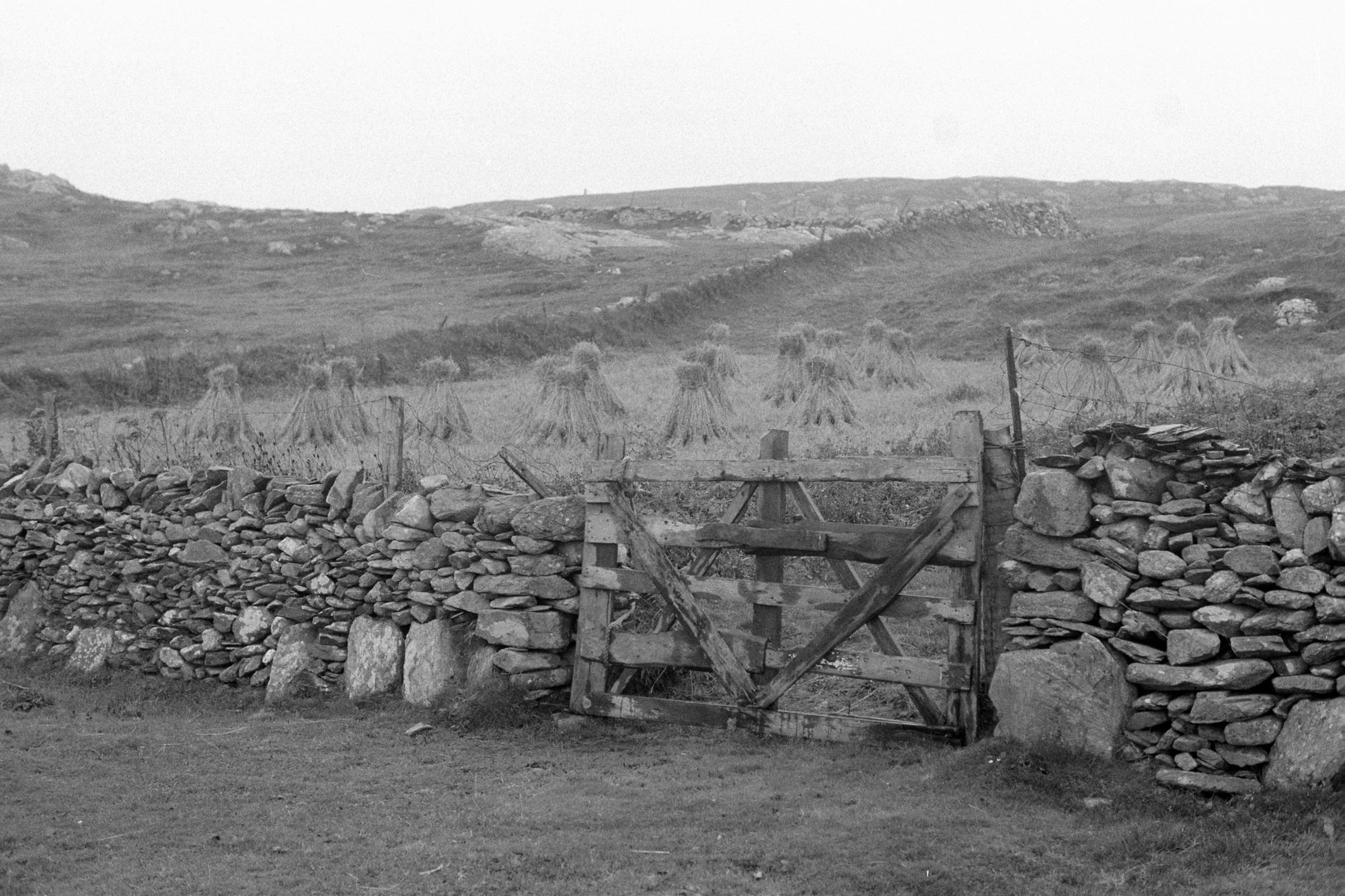 18595_Inishbofin-1979-14-23.jpg