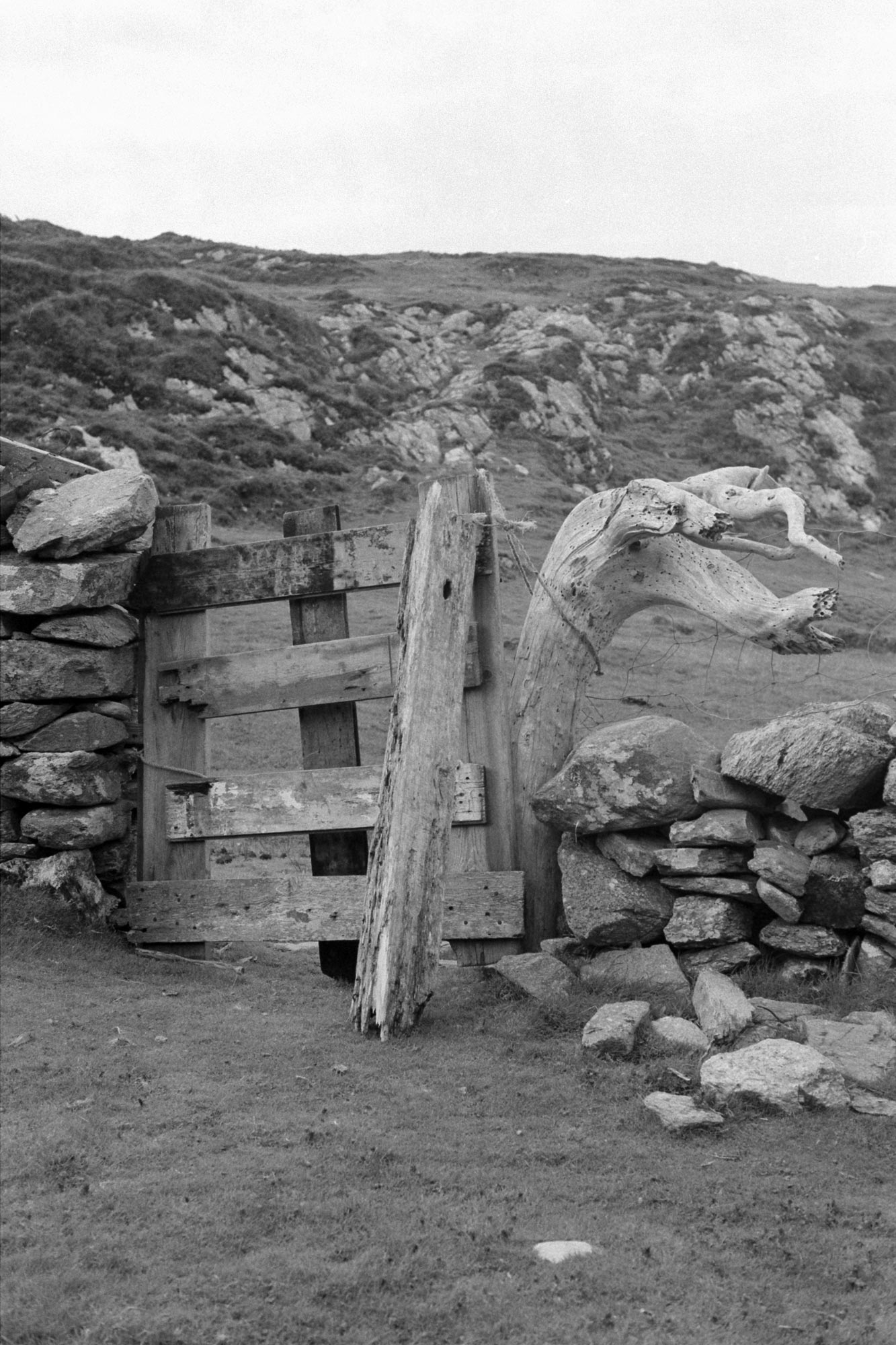 18614_Inishbofin-1979-25-7.jpg