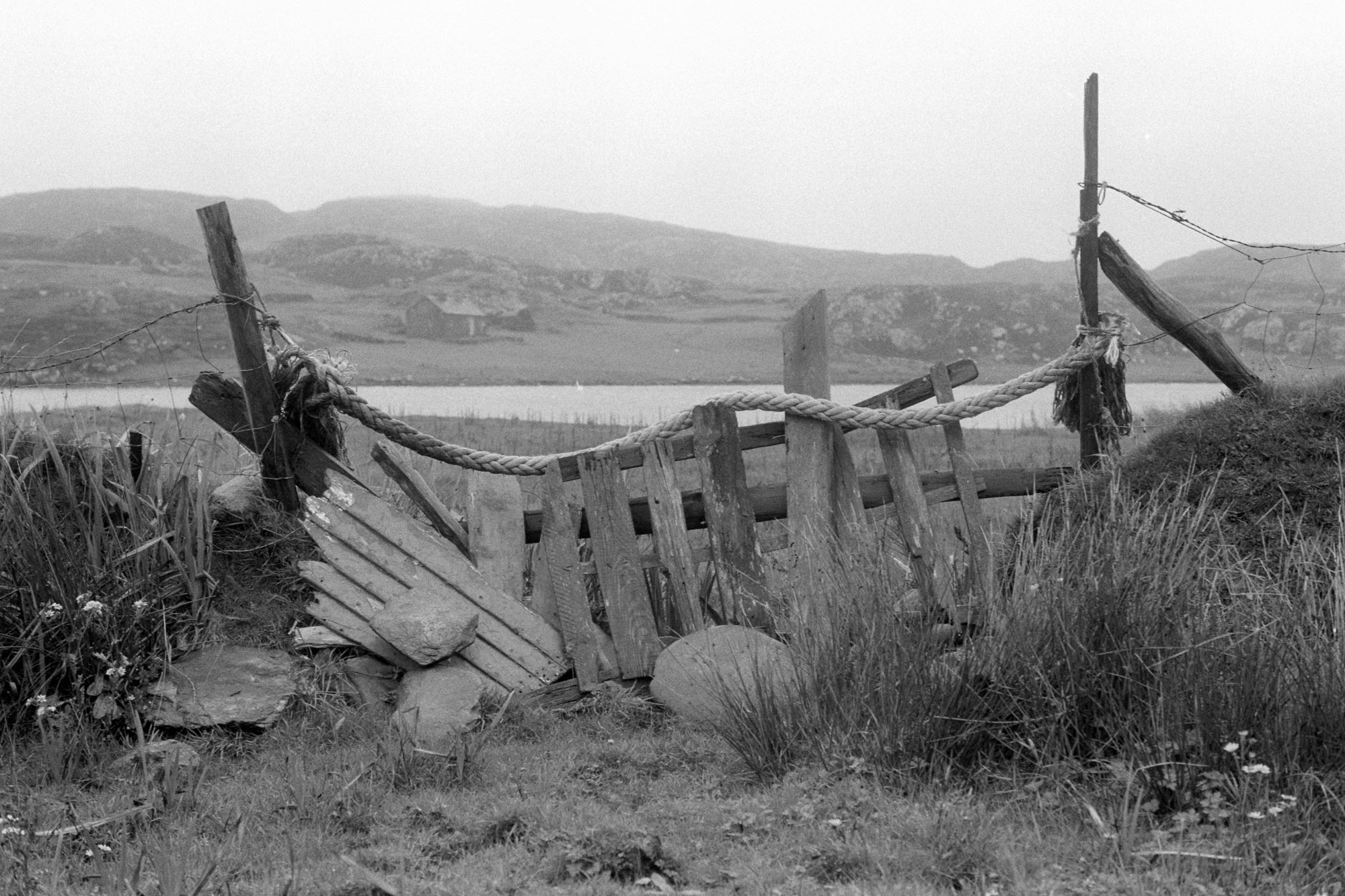 18603_Inishbofin-1979-15-14.jpg