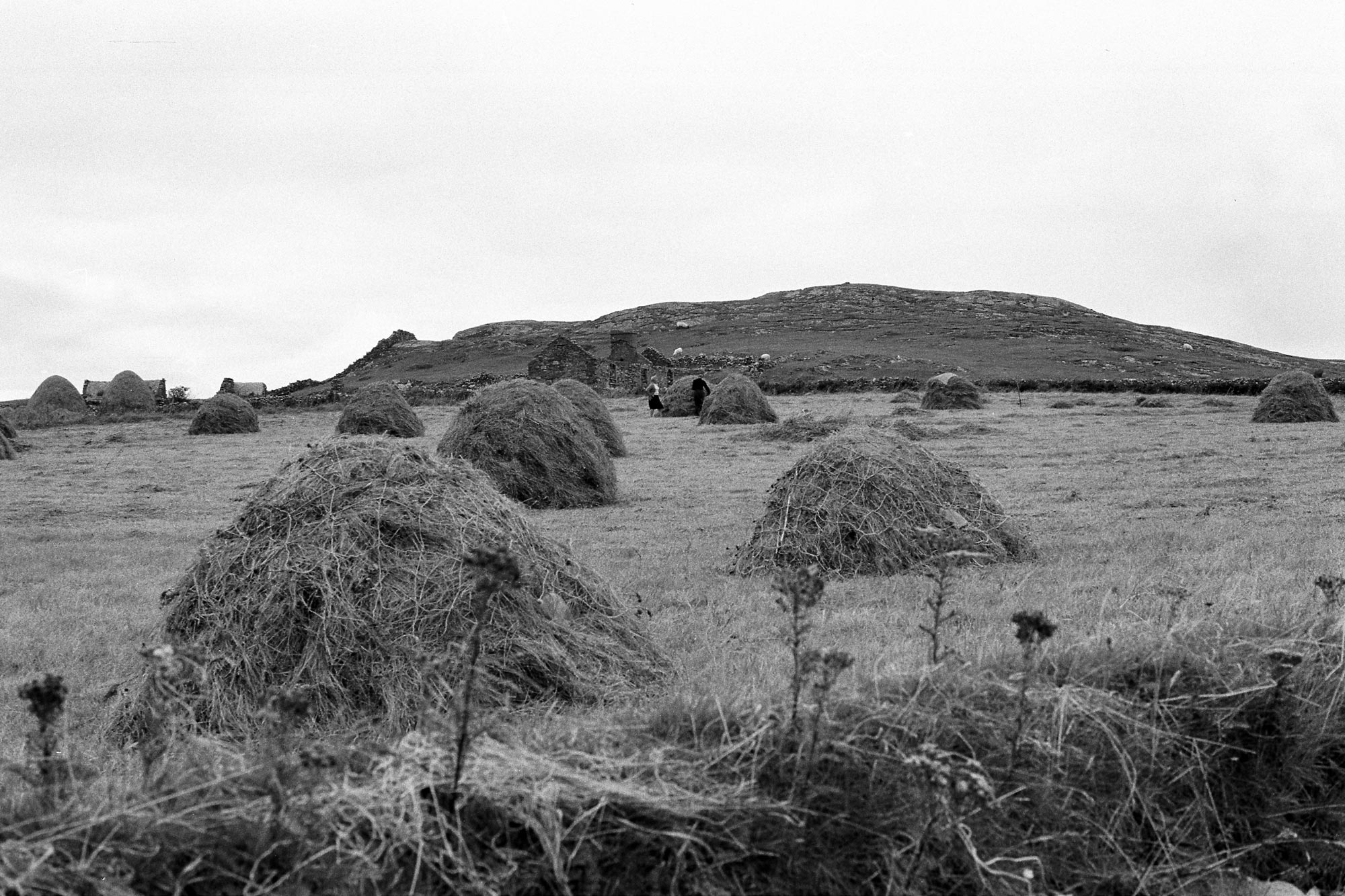 18631_Inishbofin-1979-10-25.jpg