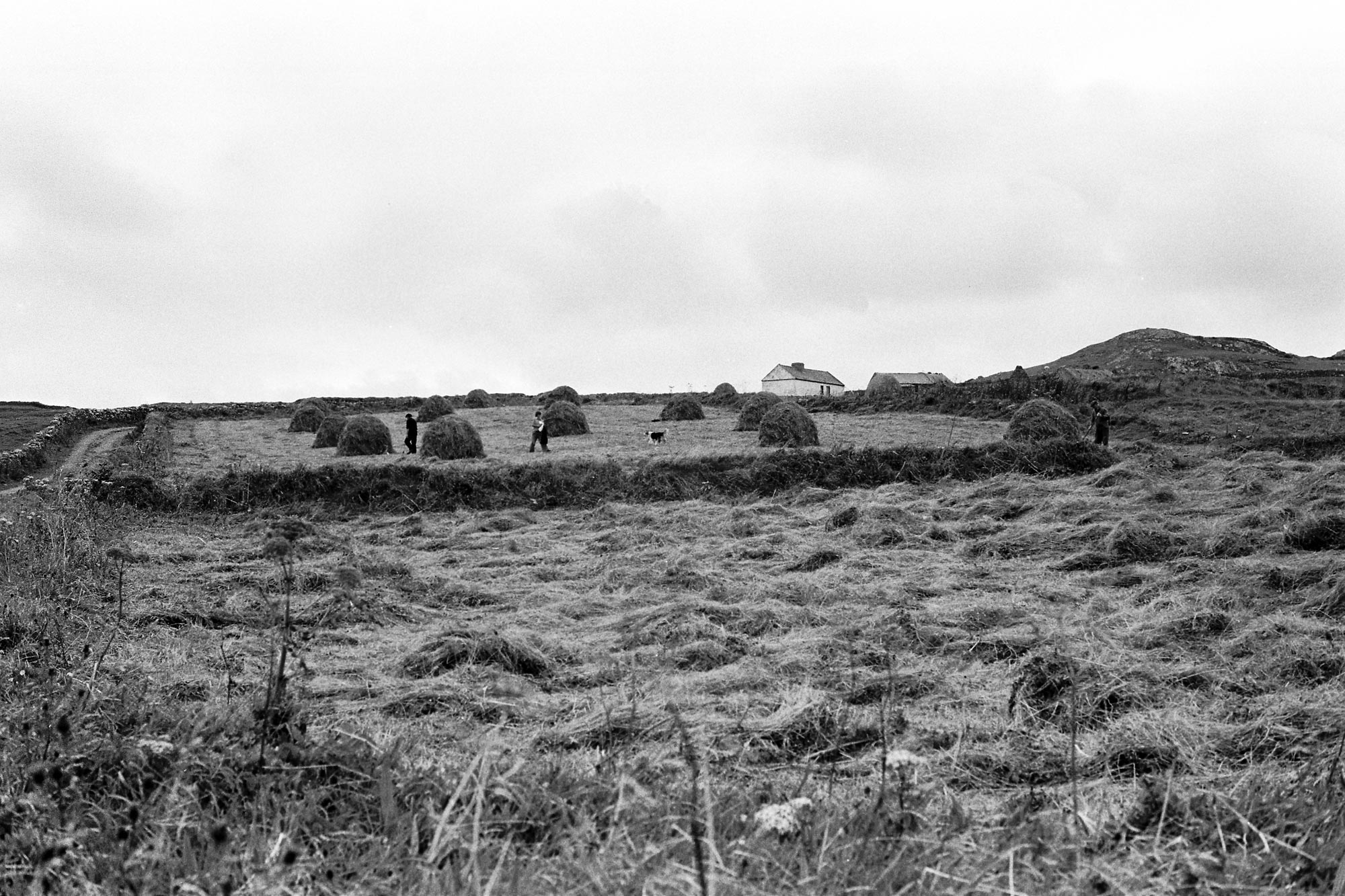 18636_Inishbofin-1979-10-23.jpg