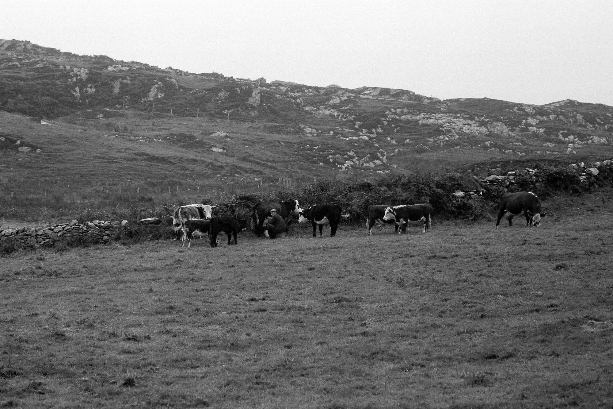 18645_Inishbofin-1979-13-20.jpg