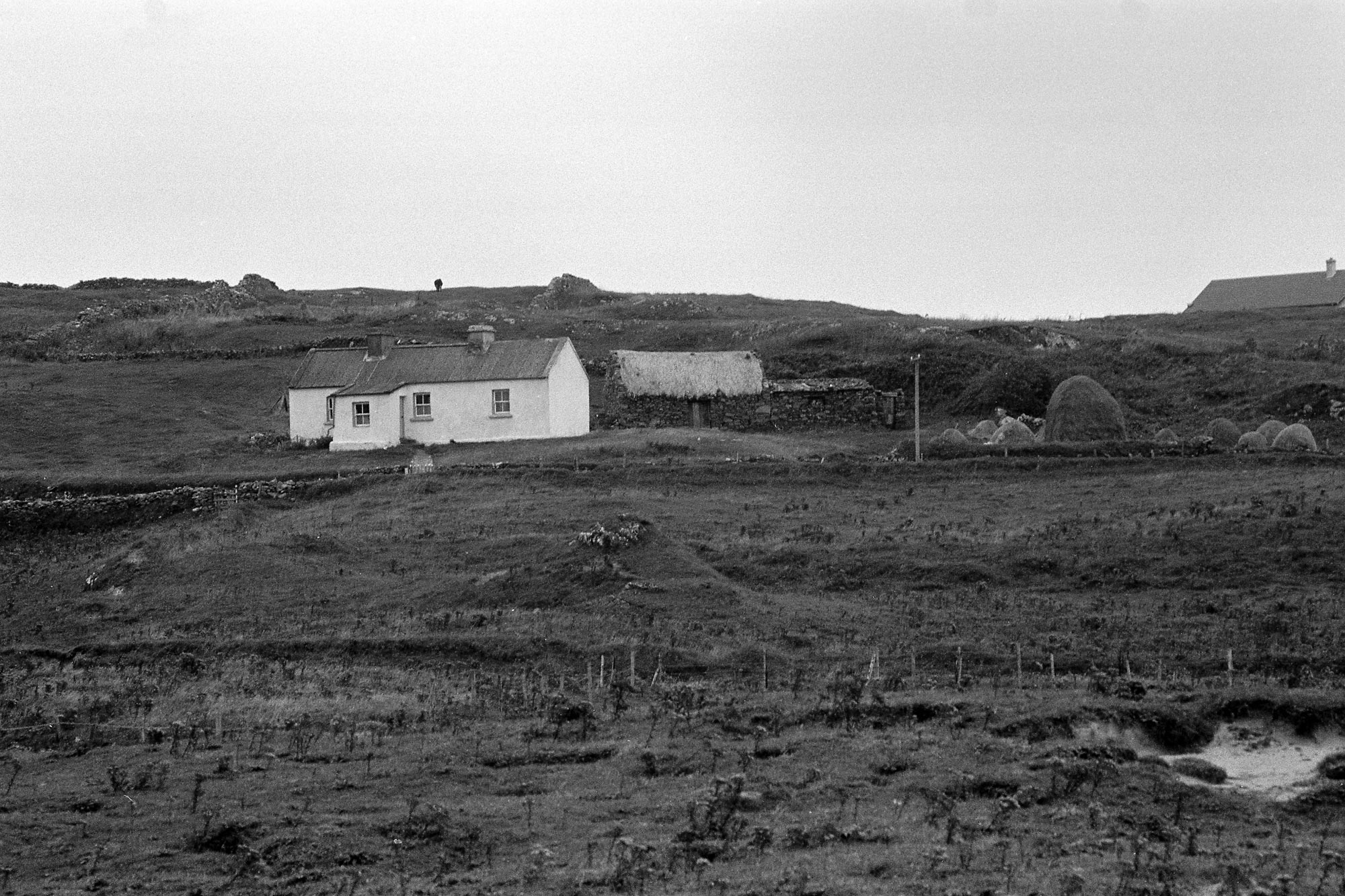 18647_Inishbofin-1979-18-8.jpg