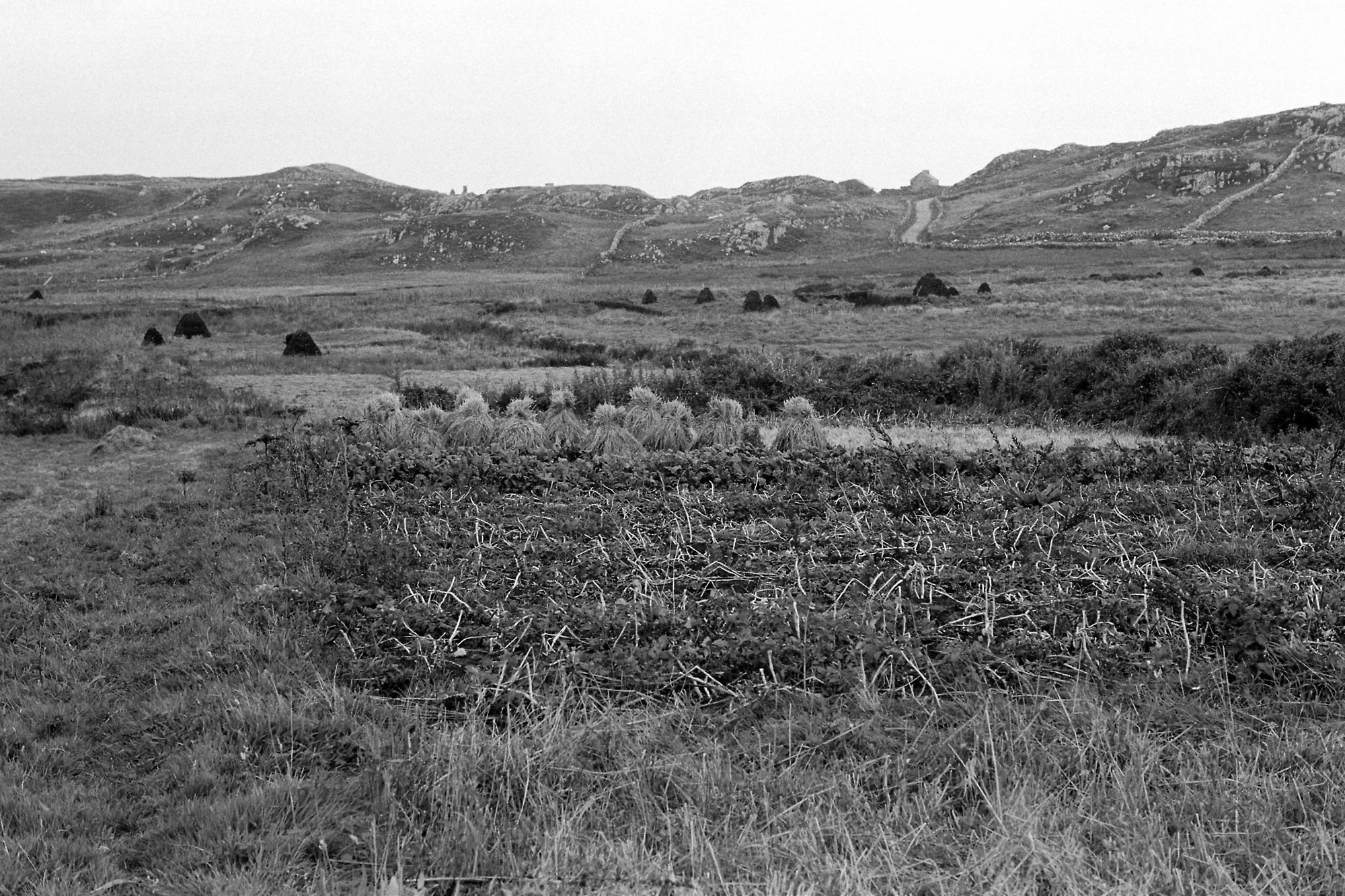 18650_Inishbofin-1979-20-32.jpg